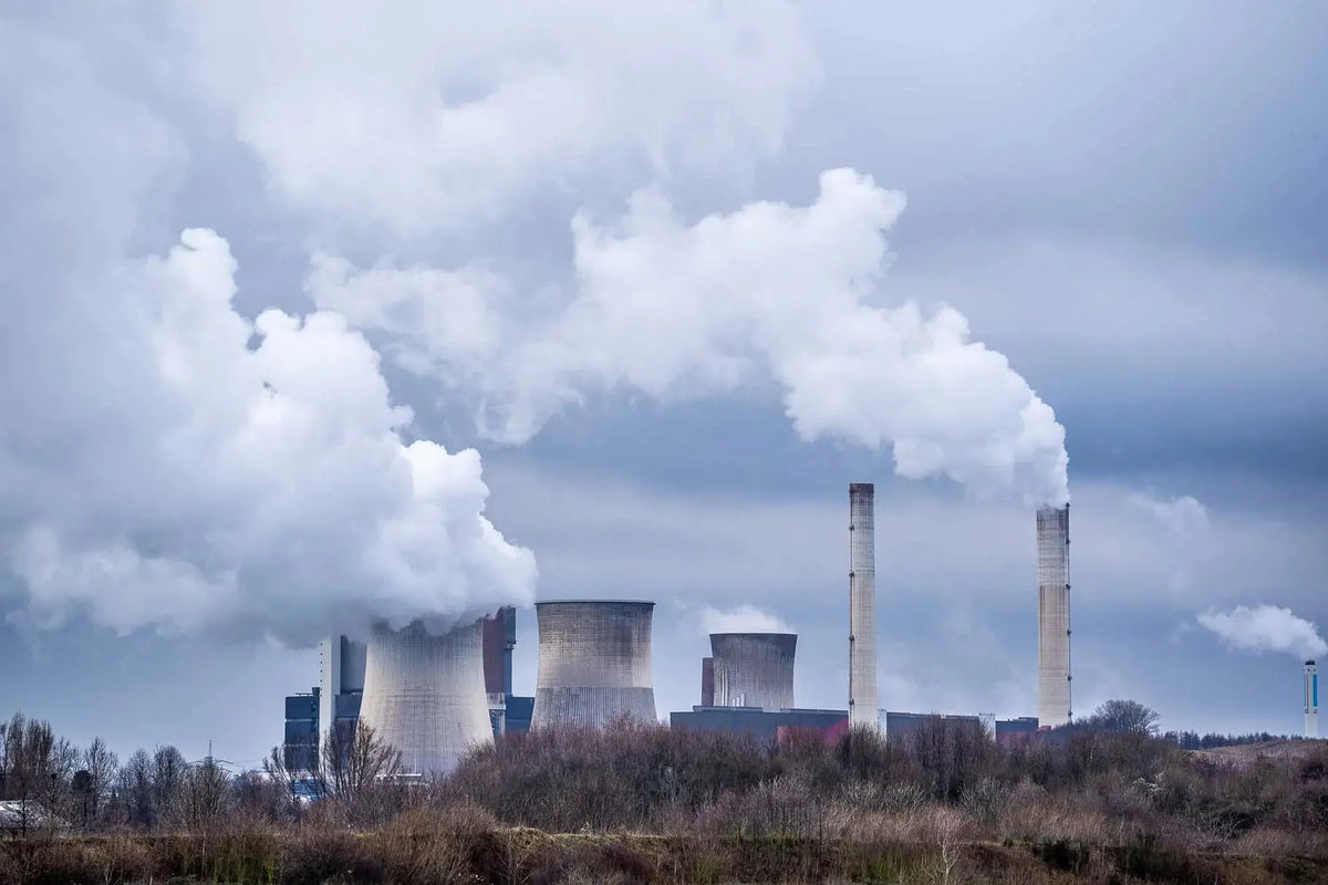 Environmental Factors and Type 1 Diabetes: Examining the Potential Links